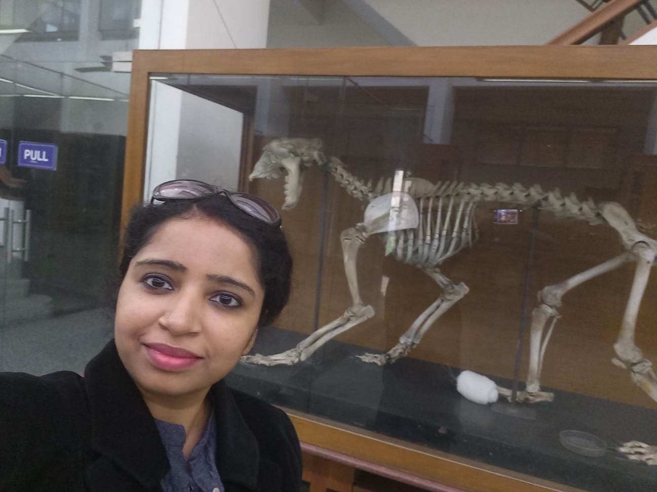 Dr. Komal Saksena at the zoology museum