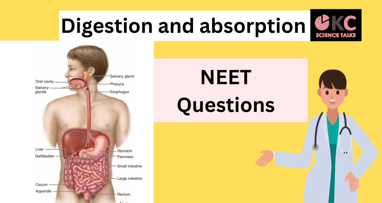 Digestion and absorption NEET questions