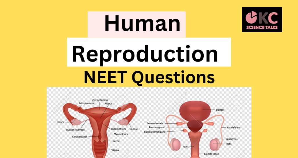 Human reproduction neet questions