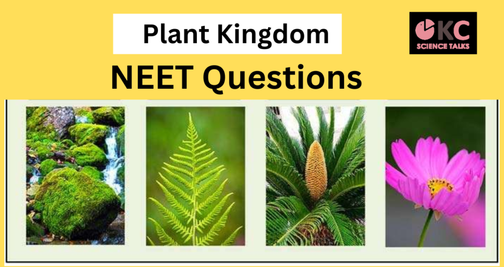 Plant Kingdom NEET Questions