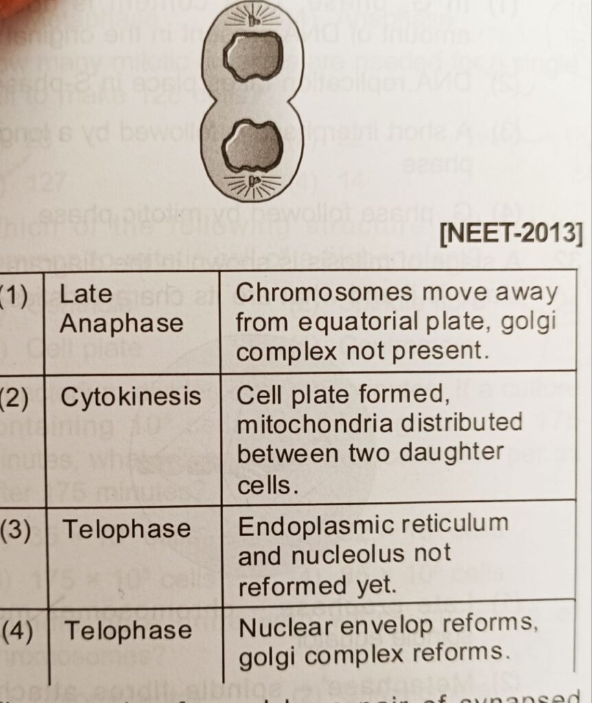 Cell cycle and Cell division NEET Questions