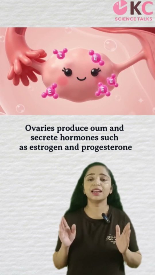 Female reproductive system in 45 seconds